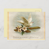 paasduif briefkaart (Voorkant / Achterkant)