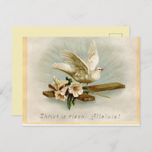 paasduif briefkaart (Voorkant / Achterkant)