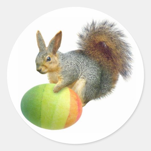 Paaseekhoorn met Regenboog Ei Sticker (Voorkant)