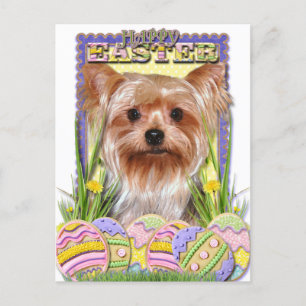 PaasEgg Cookies - Yorkshire Terrier Feestdagenkaart