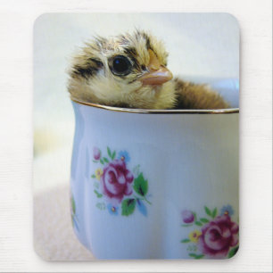 PaasEgger Chick in Cup Muismat