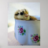 PaasEgger Chick in Cup Poster (Voorkant)