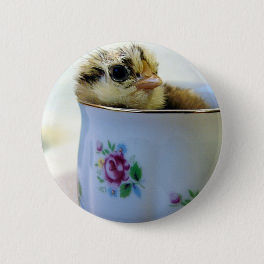 PaasEgger Chick in Cup Ronde Button 5,7 Cm (Voorkant)