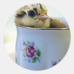 PaasEgger Chick in Cup Ronde Sticker