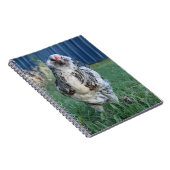 PaasEgger Rooster Notitieboek (Rechterzijde)