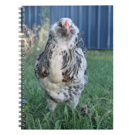 PaasEgger Rooster Notitieboek (Voorkant)