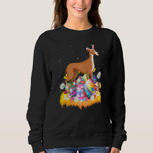 Paasei Greyhound Hond Paaszondag Trui