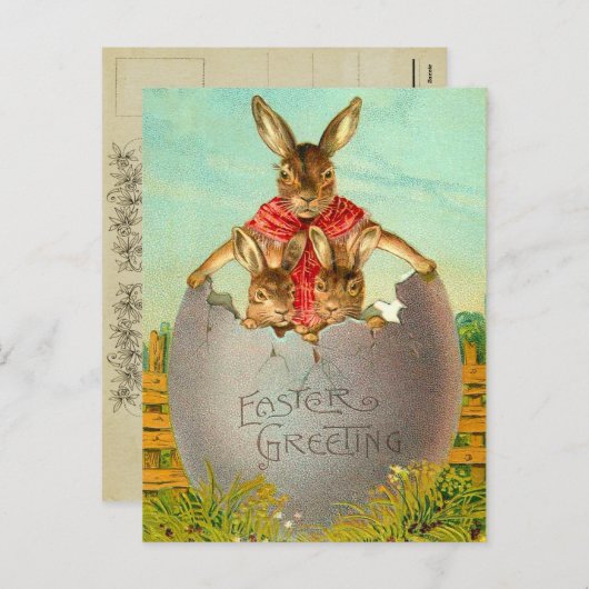 Paaseieren en Bunny Briefkaart (Voorkant / Achterkant)