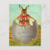 Paaseieren en Bunny Briefkaart (Voorkant)