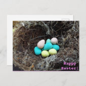 Paaseieren in echte vogelnestfoto feestdagenkaart (Voorkant / Achterkant)