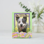 Paaseieren koekjes - Australian Cattle Dog Feestdagenkaart (Staand voorkant)