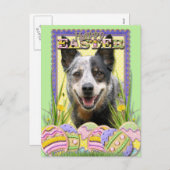 Paaseieren koekjes - Australian Cattle Dog Feestdagenkaart (Voorkant / Achterkant)