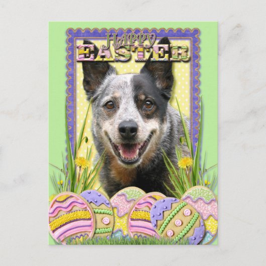 Paaseieren koekjes - Australian Cattle Dog Feestdagenkaart (Voorkant)
