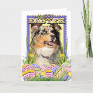 Paaseieren koekjes - Australian Shepherd Feestdagen Kaart