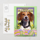 Paaseieren koekjes - Beagle Feestdagenkaart (Voorkant / Achterkant)