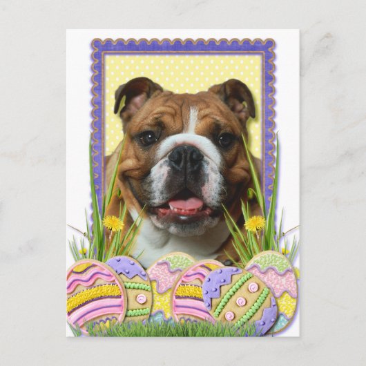Paaseieren koekjes - Bulldog Feestdagenkaart (Voorkant)