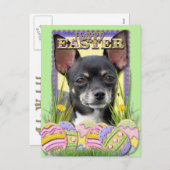 Paaseieren koekjes - Chihuahua Feestdagenkaart (Voorkant / Achterkant)