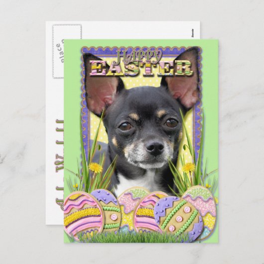 Paaseieren koekjes - Chihuahua Feestdagenkaart (Voorkant / Achterkant)