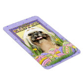 Paaseieren koekjes - Shih Tzu - Opal Magneet (Rechterzijde)