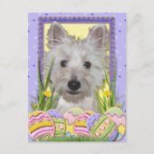 Paaseieren koekjes - West Highland Terrier - Tank Feestdagenkaart (Voorkant)
