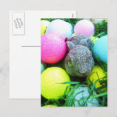 Paaseieren, konijnen, Golfballen Feestdagenkaart (Voorkant / Achterkant)