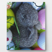 Paaseieren, konijnenGolfballen Fotoplaat (Voorkant)