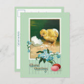 paaseieren, kuiken en bloemen briefkaart (Voorkant / Achterkant)