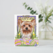 Paaseieren - Yorkshire Terrier Feestdagenkaart (Staand voorkant)