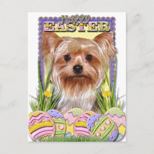 Paaseieren - Yorkshire Terrier Feestdagenkaart (Voorkant)