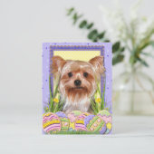 Paaseieren - Yorkshire Terrier Feestdagenkaart (Staand voorkant)