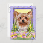 Paaseieren - Yorkshire Terrier Feestdagenkaart (Voorkant / Achterkant)