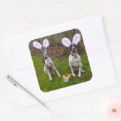 Paaseierjacht en feesthonden Ronde Stickers (Envelop)