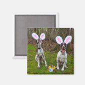 Paaseierjacht en feesthonden vierkante magneet (Voorkant / Achterkant)