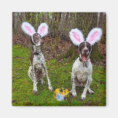 Paaseierjacht en feesthonden vierkante magneet (Voorkant)