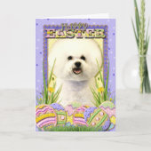 Paaseikoekjes - Bichon Frise Feestdagen Kaart (Voorkant)