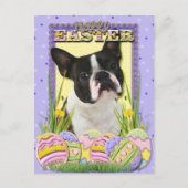 Paaseikoekjes - Boston Terrier Feestdagenkaart (Voorkant)