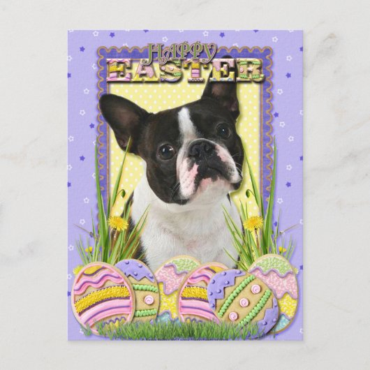 Paaseikoekjes - Boston Terrier Feestdagenkaart (Voorkant)