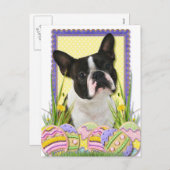 Paaseikoekjes - Boston Terrier Feestdagenkaart (Voorkant / Achterkant)