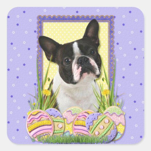 Paaseikoekjes - Boston Terrier Vierkante Sticker (Voorkant)