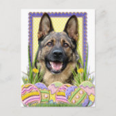 Paaseikoekjes - German Shepherd Feestdagenkaart (Voorkant)