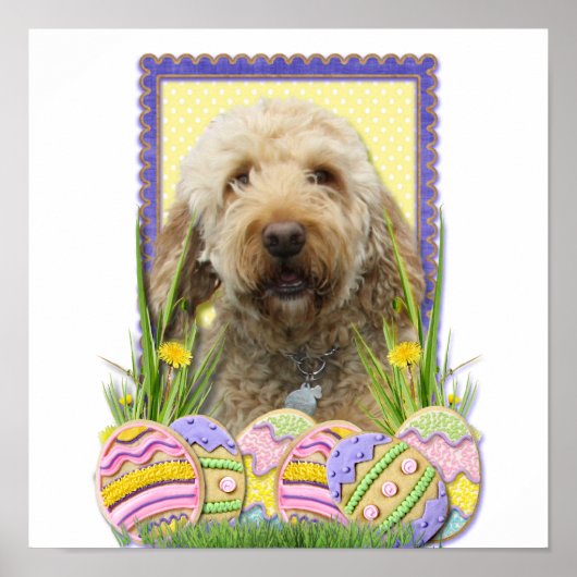 Paaseikoekjes - GoldenDoodle Poster (Voorkant)