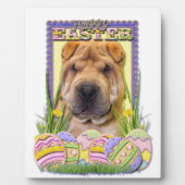 Paaseikoekjes - Shar Pei Fotoplaat (Voorkant)