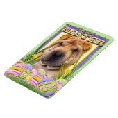 Paaseikoekjes - Shar Pei Magneet (Linkerzijde)