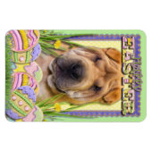 Paaseikoekjes - Shar Pei Magneet (Horizontaal)