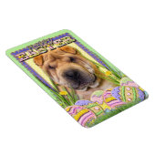 Paaseikoekjes - Shar Pei Magneet (Rechterzijde)