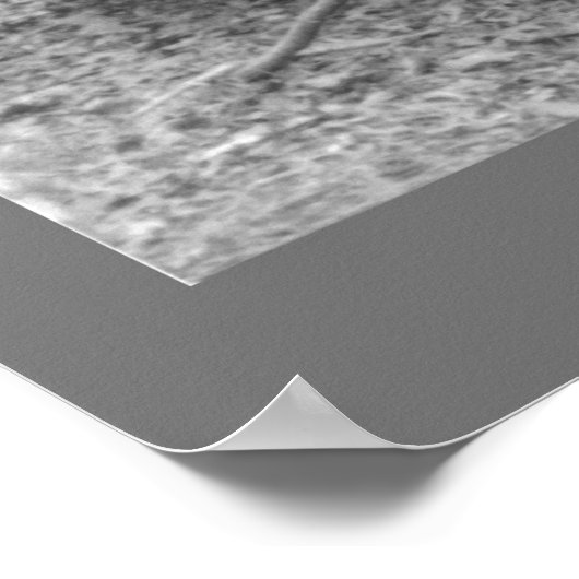 Paaseiland Head Poster (Hoek)