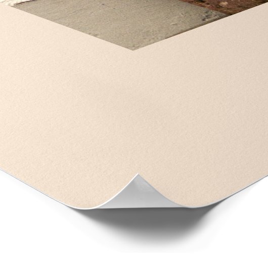 Paaseiland Moai Head Thunder_Cove Poster (Hoek)