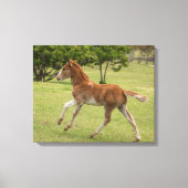 Paaseiland o.b.a. Rapa Nui Canvas Afdruk (Voorkant)