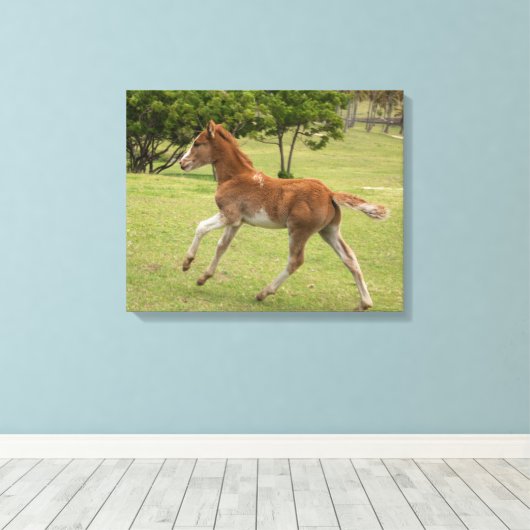 Paaseiland o.b.a. Rapa Nui Canvas Afdruk (Insitu (Houten vloer))