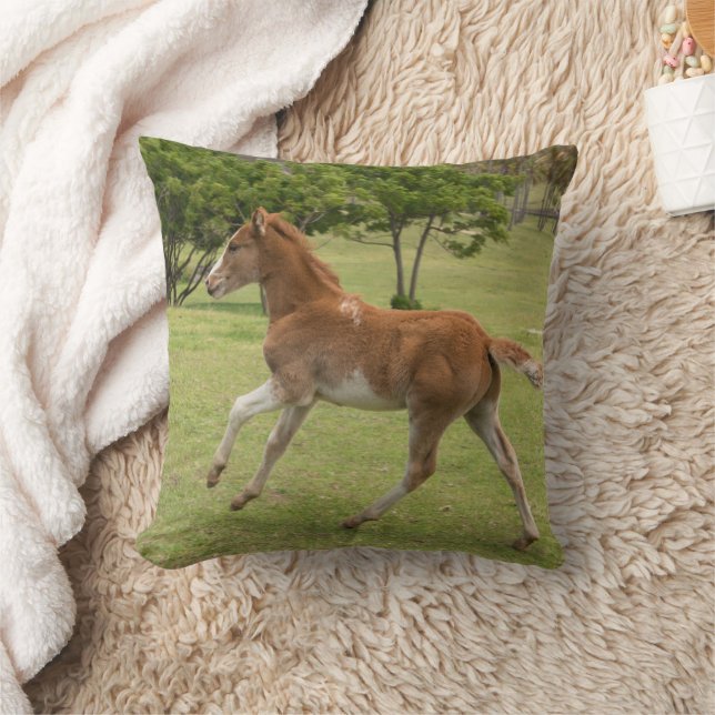 Paaseiland o.b.a. Rapa Nui Kussen (Deken)